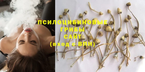 Альфа ПВП Алзамай