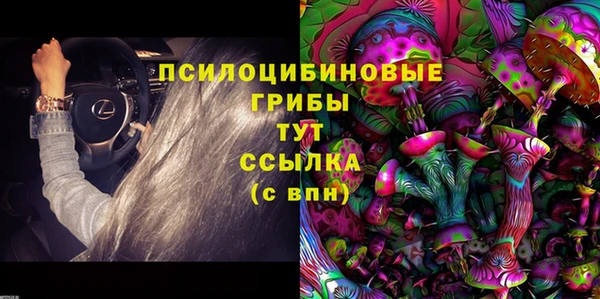 ешки Алексин