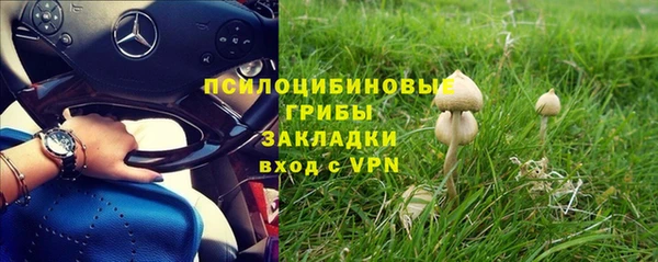 Альфа ПВП Алзамай