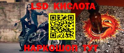 бошки Краснодар