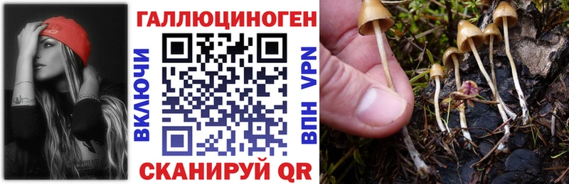 Псилоцибиновые грибы прущие грибы  blacksprut маркетплейс  Кемерово  наркотики 