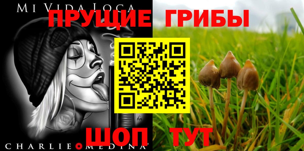 Галлюциногенные грибы Magic Shrooms Кемерово